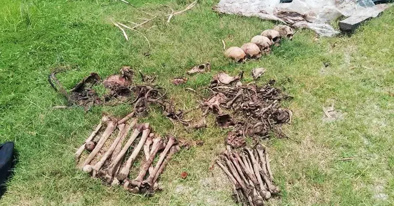 উদ্ধারকৃত হাড় ও খুলি